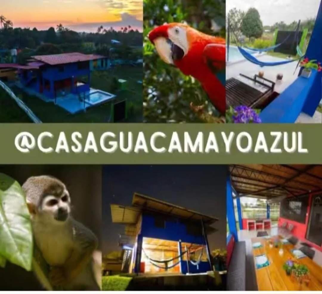 Guacamayo Azul Vila Iquitos Exterior foto